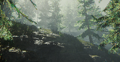 The Forest - The Forest