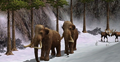 Wildlife Park 2 - Wildlife Park 2