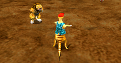 Sammy the Suricate in Lion Land - Sammy the Suricate in Lion Land