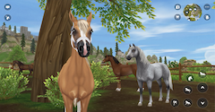 Star Stable Online - Star Stable Online