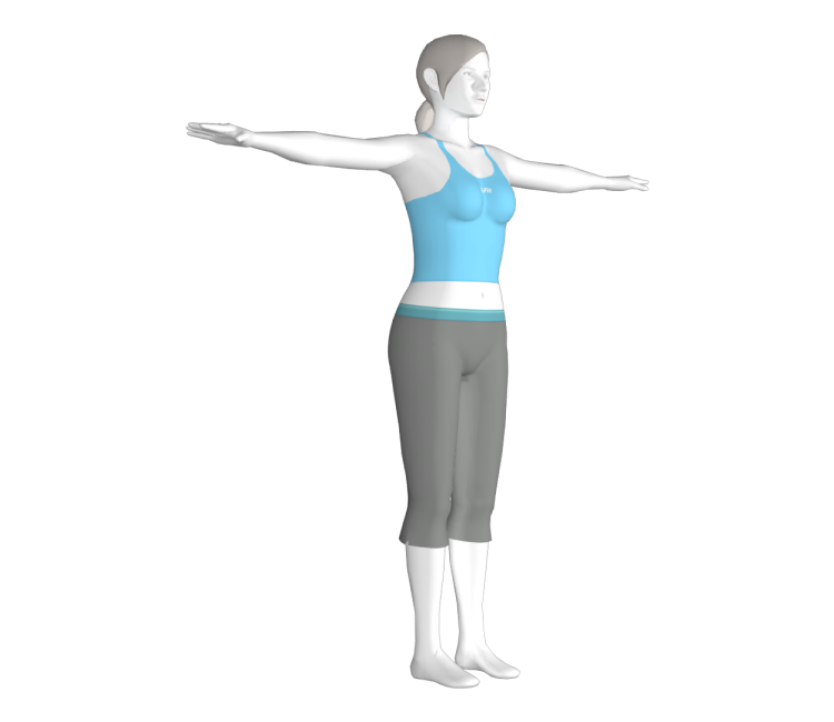 Preview in Browser - Wii Fit