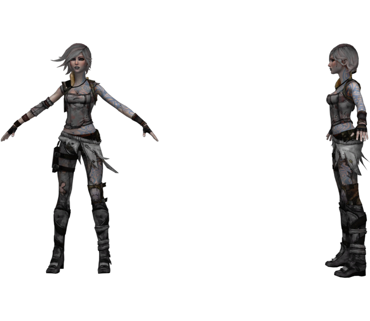 Preview in Browser - Borderlands 2