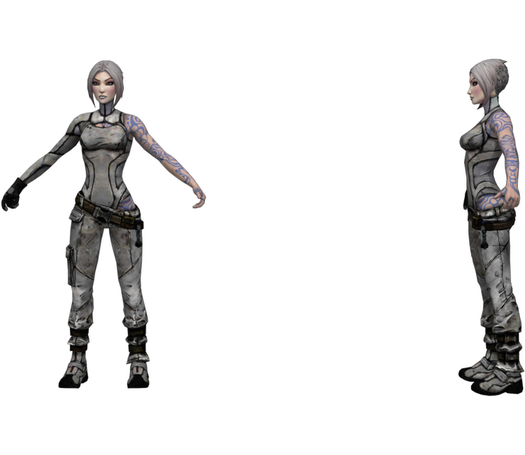 Preview in Browser - Borderlands 2