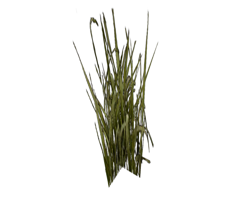 Preview in Browser - Harry Potter & the Prisoner of Azkaban