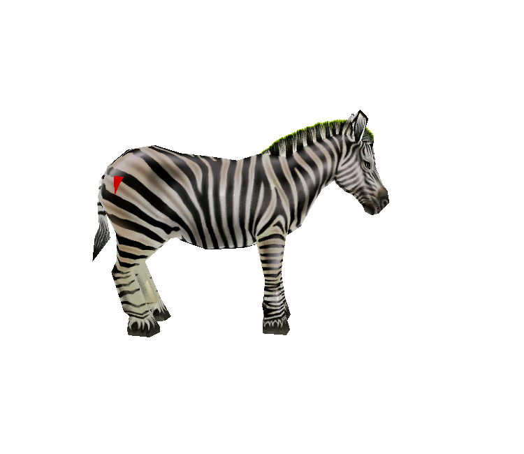 Download ZIP Archive - Zoo Tycoon 2