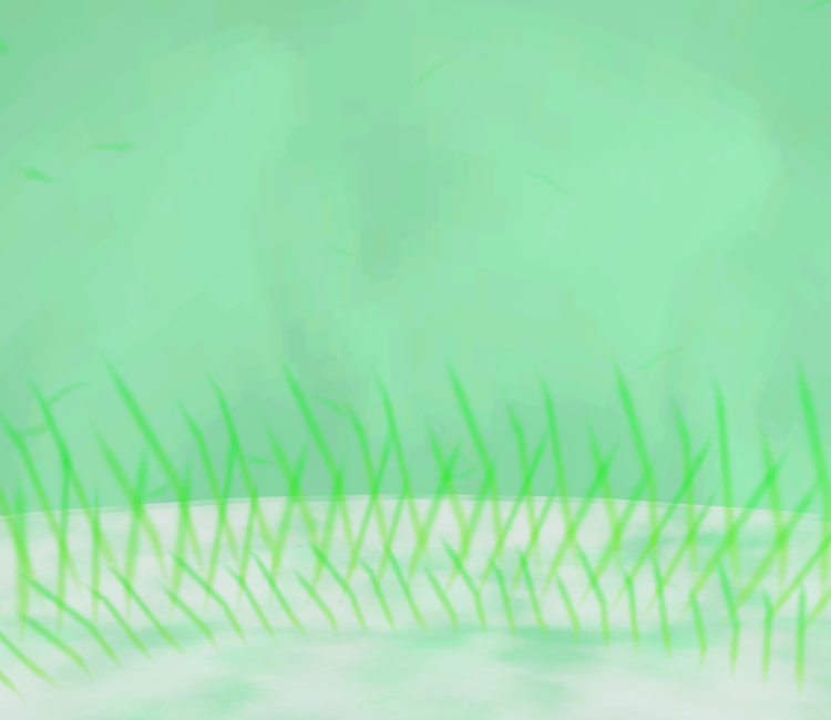 Preview in Browser - Pokémon X / Y
