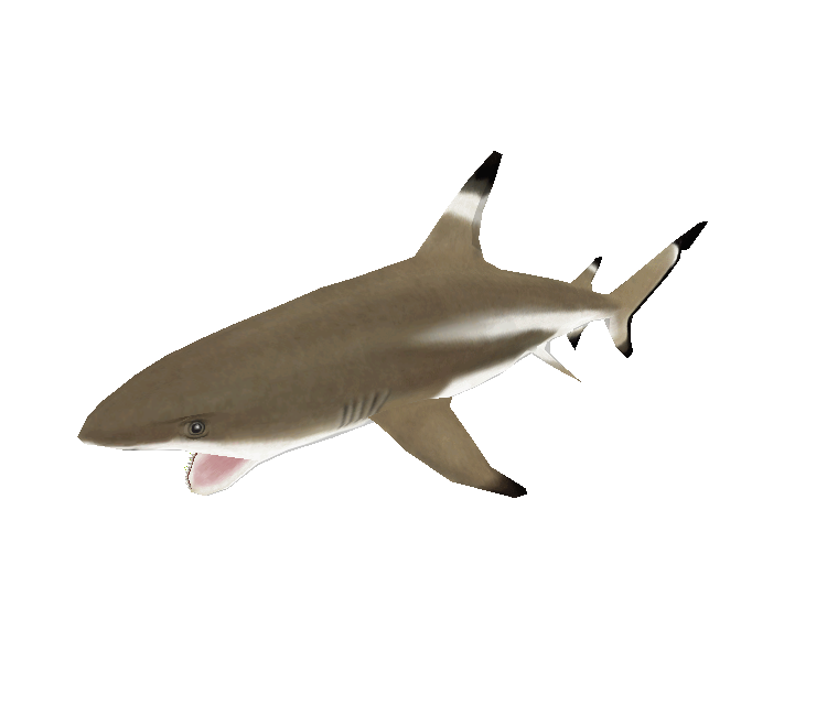 Download ZIP Archive - Zoo Tycoon 2
