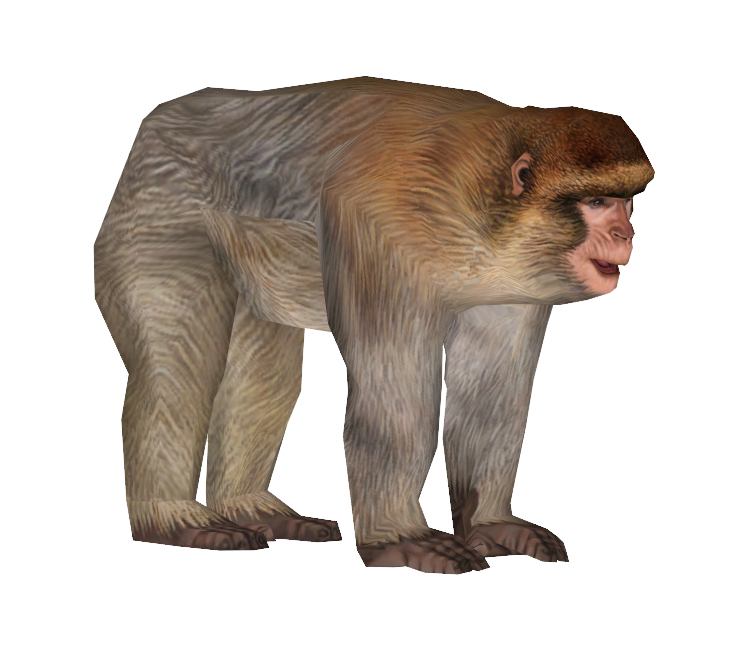Download ZIP Archive - Zoo Tycoon 2