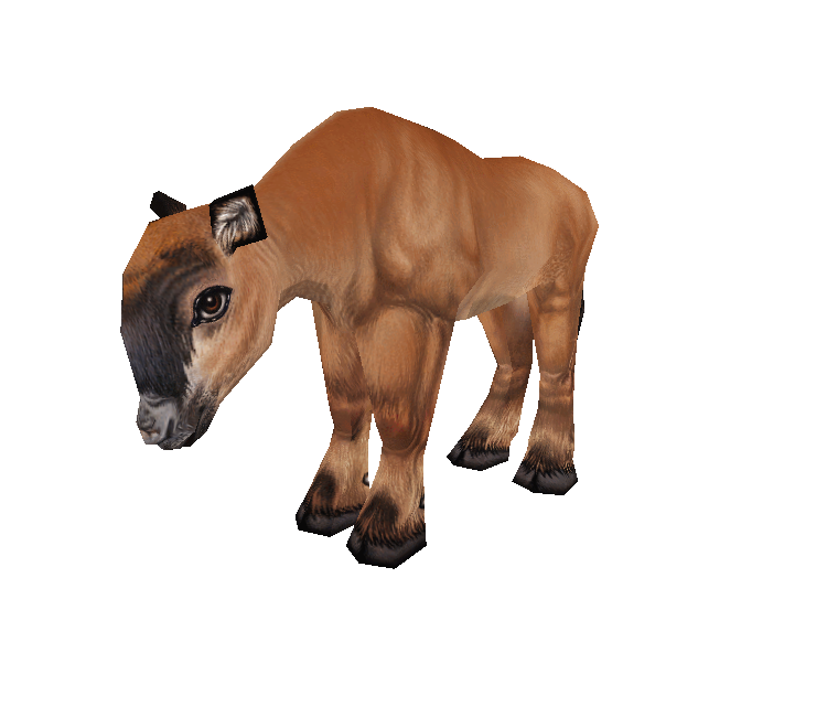 Download ZIP Archive - Zoo Tycoon 2