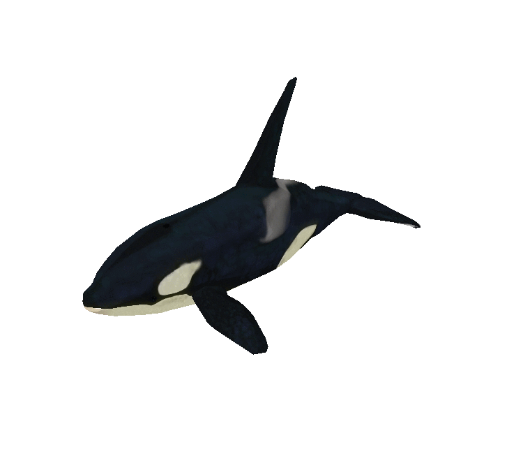 Download ZIP Archive - Zoo Tycoon 2