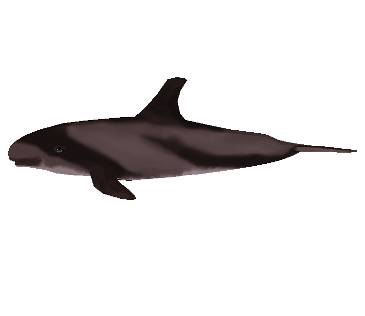Preview in Browser - Zoo Tycoon 2