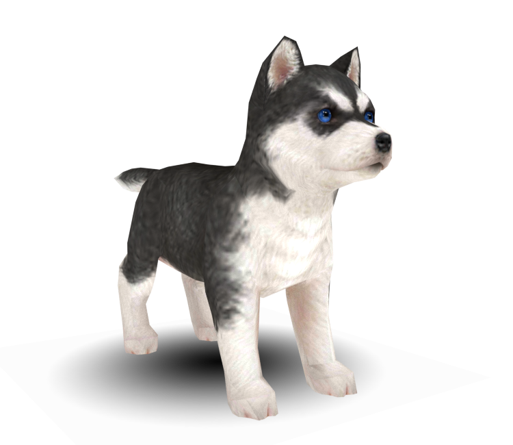 Preview in Browser - Nintendogs + Cats