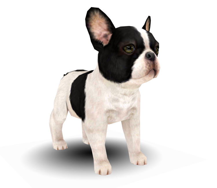 Preview in Browser - Nintendogs + Cats