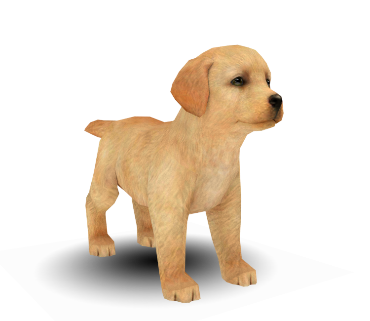 Preview in Browser - Nintendogs + Cats