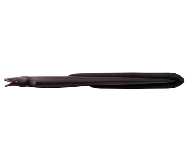 Preview in Browser - Rapala: We Fish