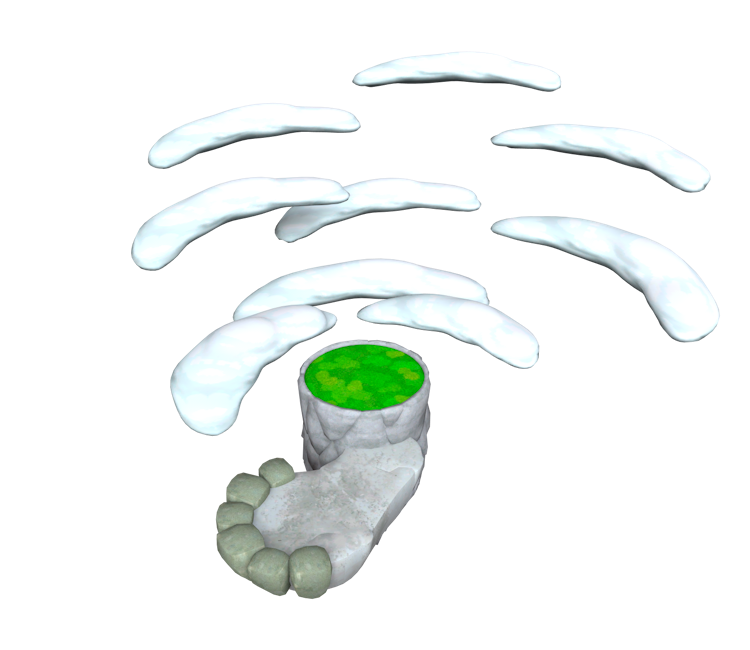 Download ZIP Archive - Super Mario Galaxy 2