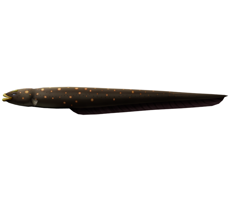 Preview in Browser - Rapala: We Fish