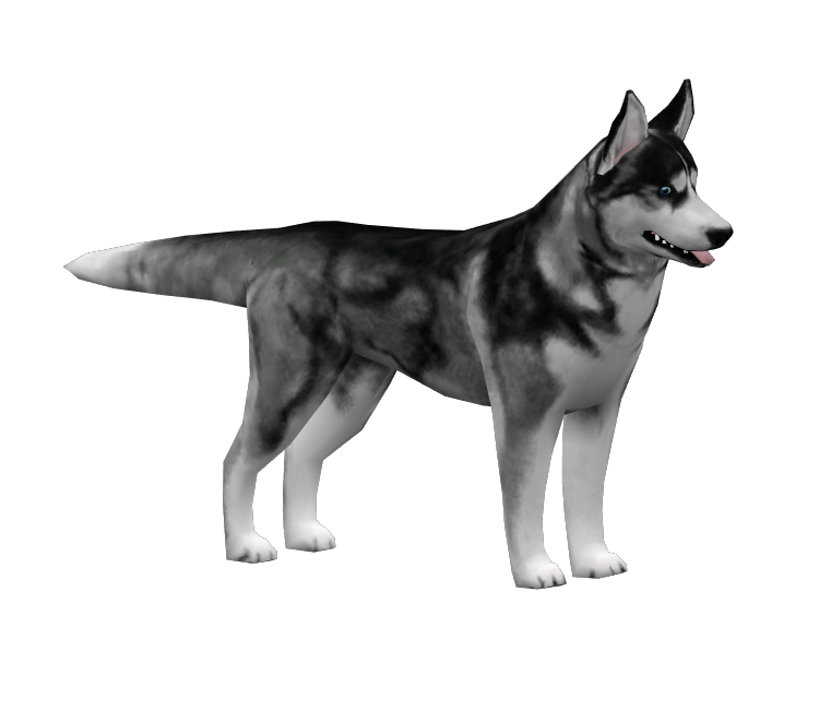Preview in Browser - Avatar Marketplace