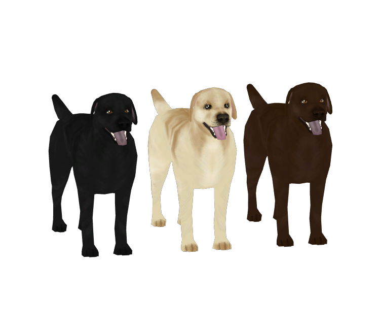 Preview in Browser - Avatar Marketplace