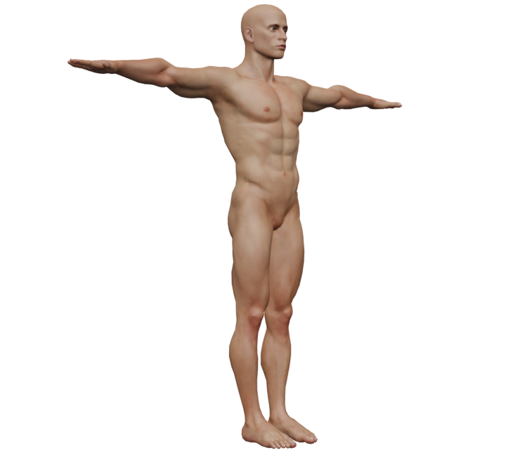 Preview in Browser - Hand Simulator