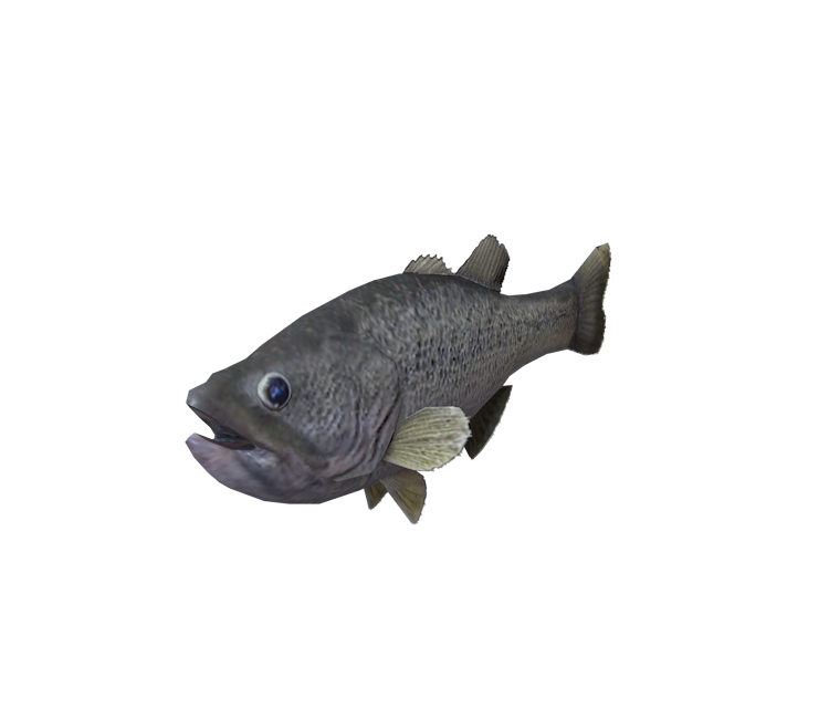 Preview in Browser - Fishing Resort