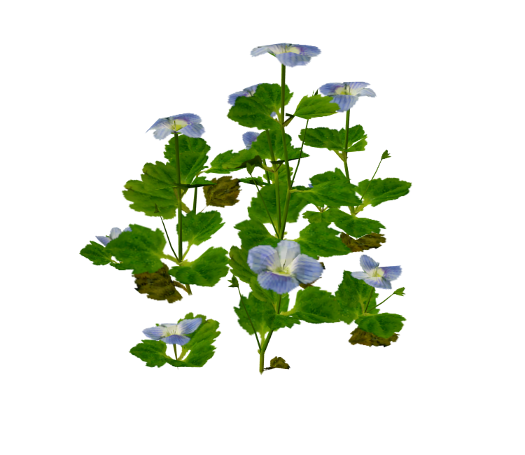 Preview in Browser - Pikmin
