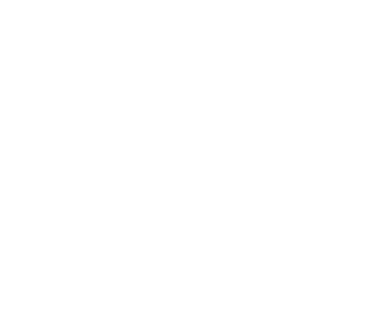 Preview in Browser - Nintendo System Customs