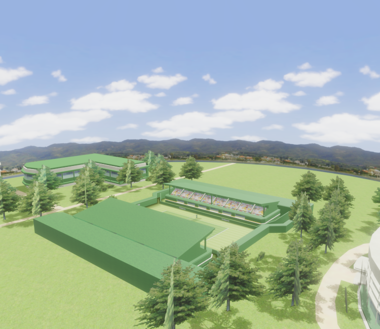 Download ZIP Archive - Wii Sports