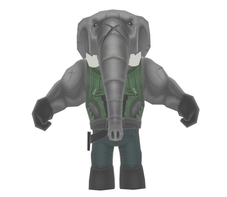 Preview in Browser - Roost Riders