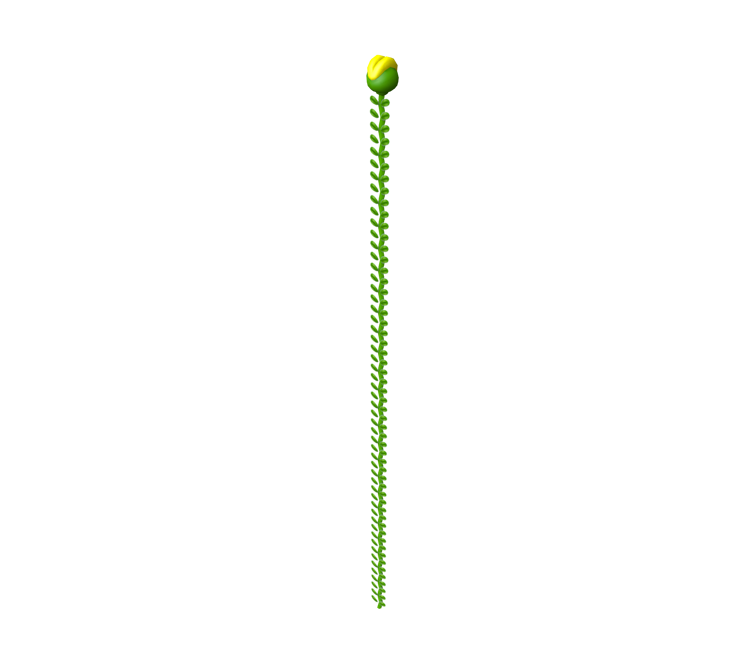 Download ZIP Archive - New Super Mario Bros. U / New Super Luigi U