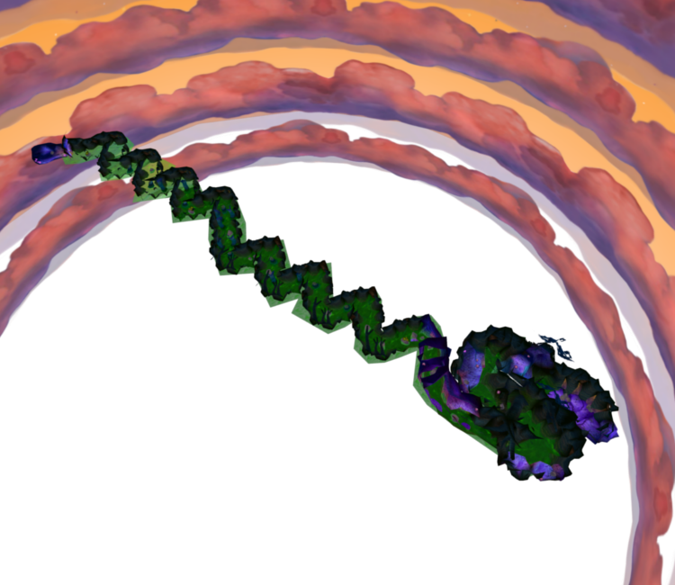 Download ZIP Archive - Stitch: Experiment 626