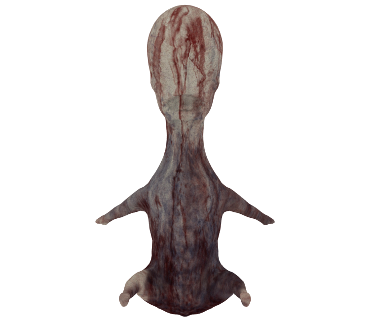 Preview in Browser - P.T.