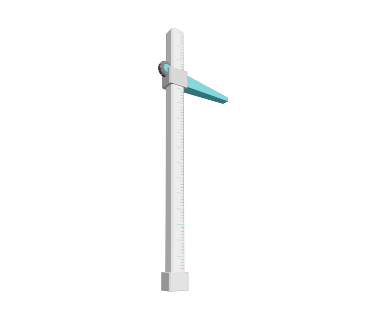 Preview in Browser - Wii Fit Plus