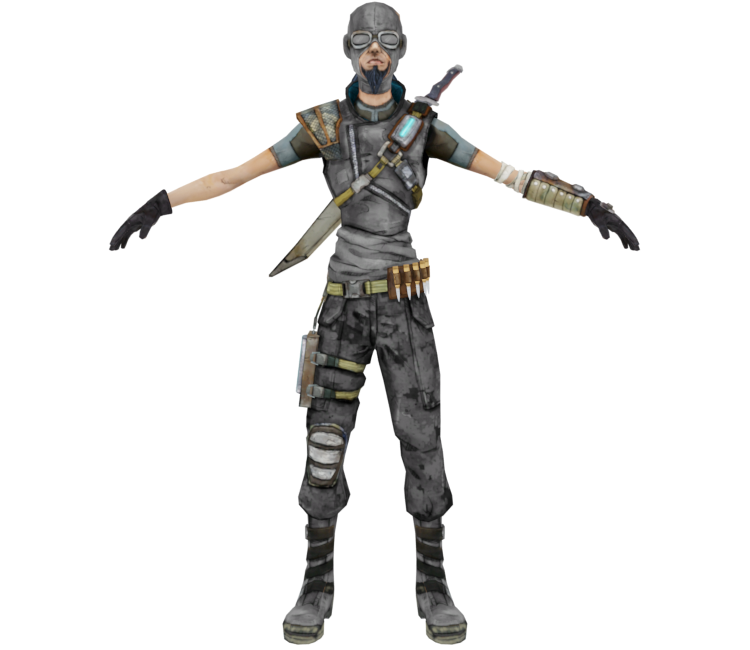 Preview in Browser - Borderlands