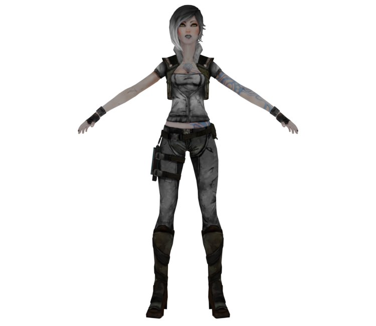 Preview in Browser - Borderlands