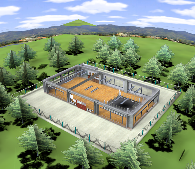 Download ZIP Archive - Wii Sports