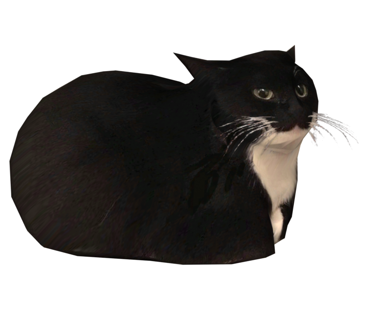 Preview in Browser - Drifting With Maxwell Cat: The Game