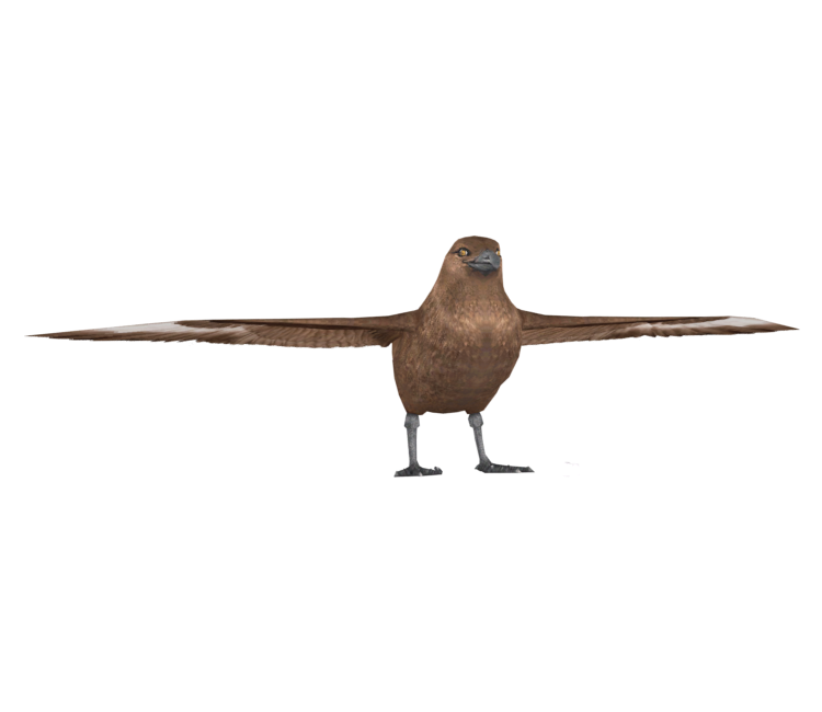 Preview in Browser - Happy Feet