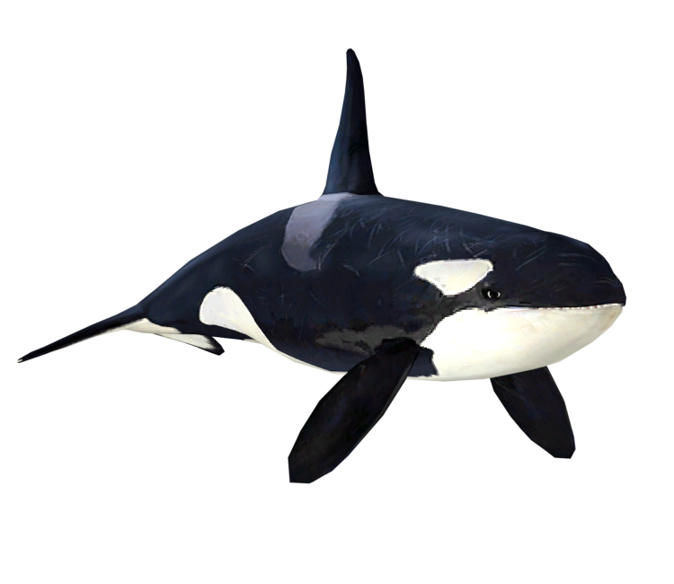 Preview in Browser - Happy Feet