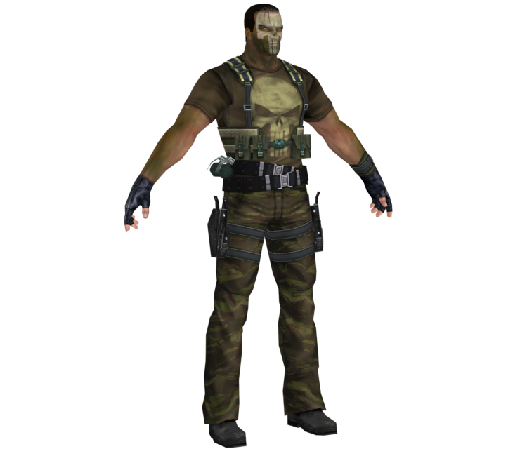 Preview in Browser - The Punisher