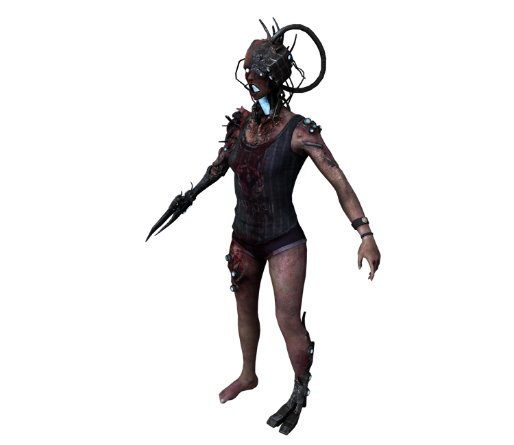 Preview in Browser - SOMA