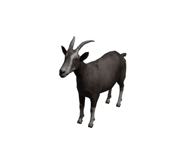 Preview in Browser - Bear Simulator