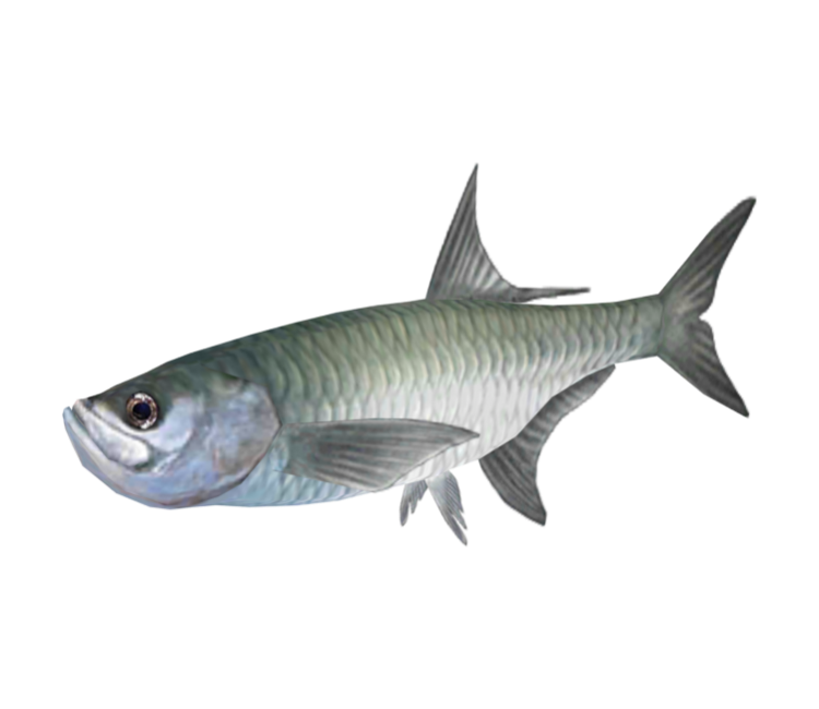 Preview in Browser - StreetPass Mii Plaza