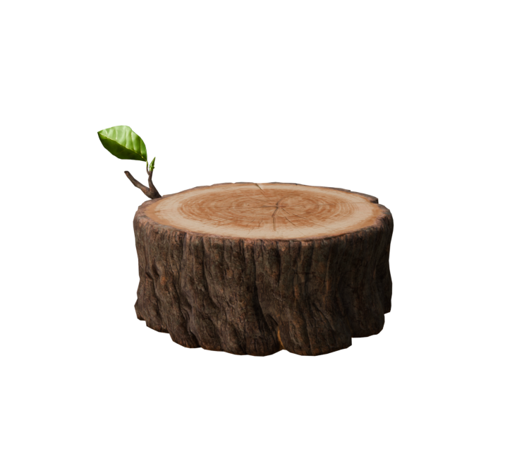 Preview in Browser - Oculus Home