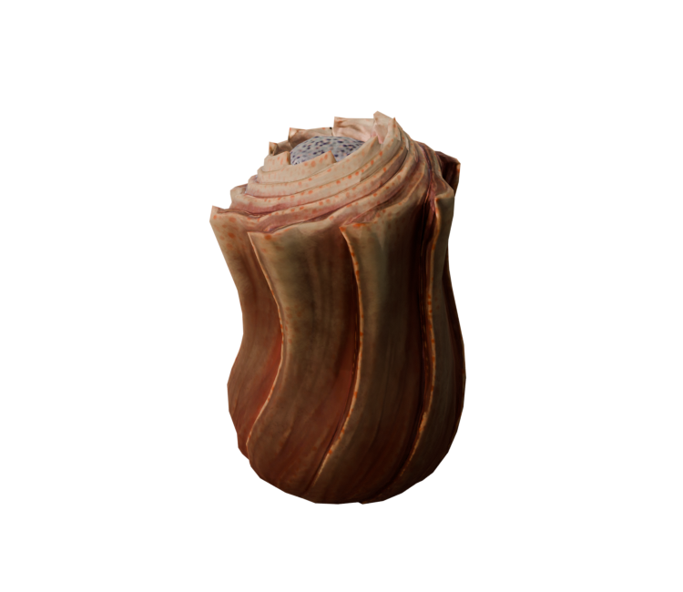 Preview in Browser - Oculus Home