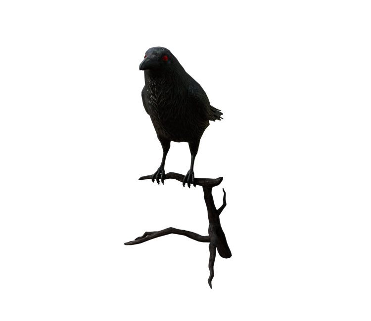 Preview in Browser - Oculus Home