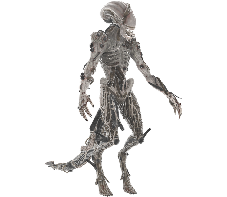 Preview in Browser - Dead by Daylight