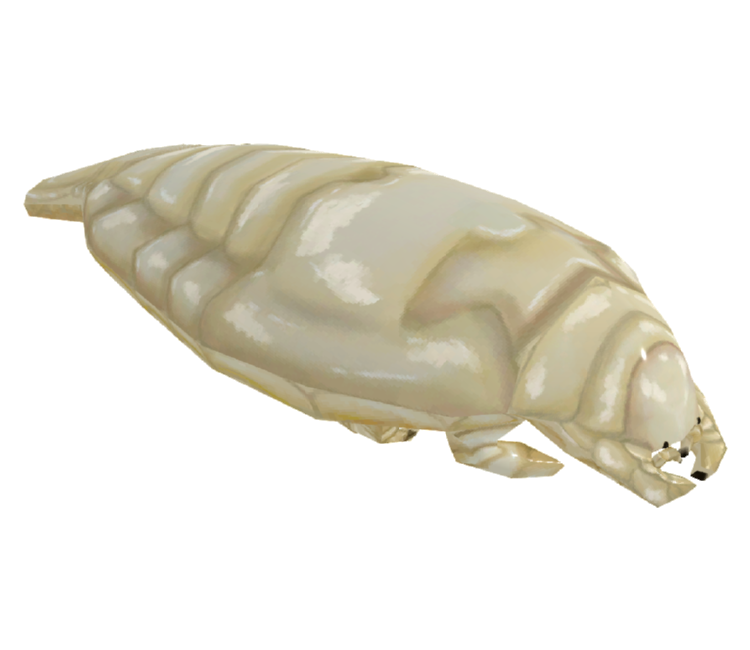 Preview in Browser - How Fish Is Made