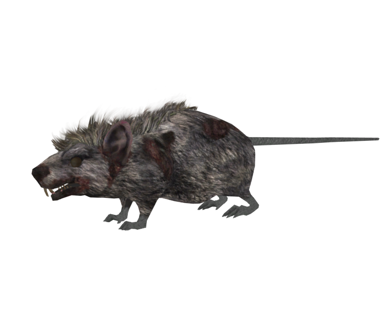 Corpse Rat - Dark Souls II - PC / Computer - The Models Resource